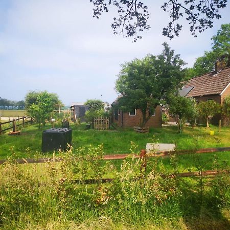 Trekkershut - Tiny House - Hikers Cottage Wijster Kültér fotó