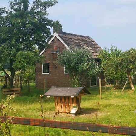 Trekkershut - Tiny House - Hikers Cottage Wijster Kültér fotó