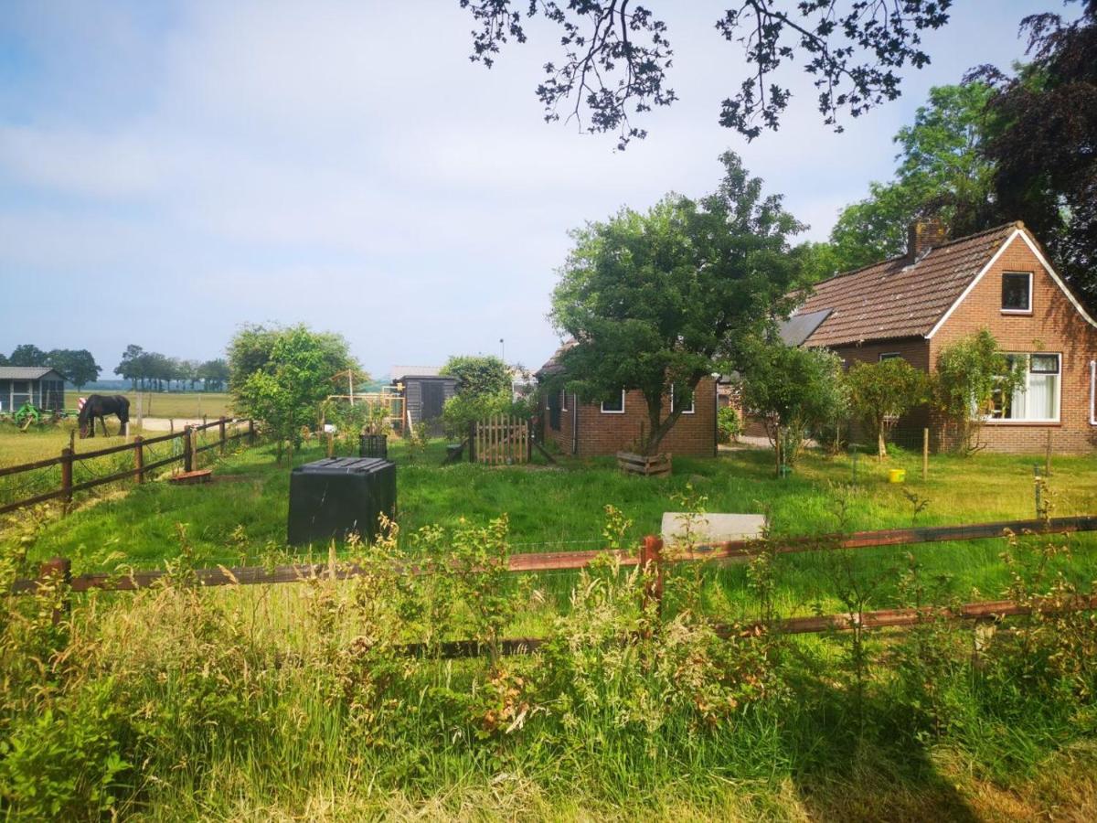 Trekkershut - Tiny House - Hikers Cottage Wijster Kültér fotó