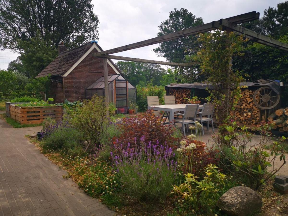 Trekkershut - Tiny House - Hikers Cottage Wijster Kültér fotó