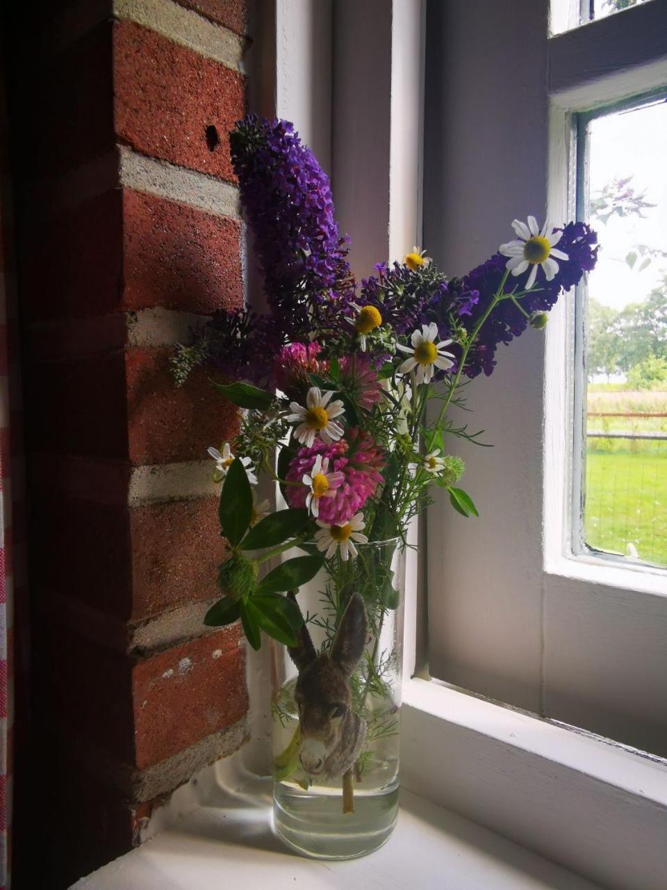 Trekkershut - Tiny House - Hikers Cottage Wijster Kültér fotó